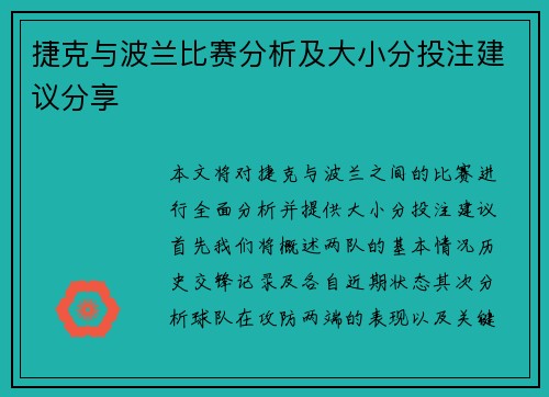 捷克与波兰比赛分析及大小分投注建议分享