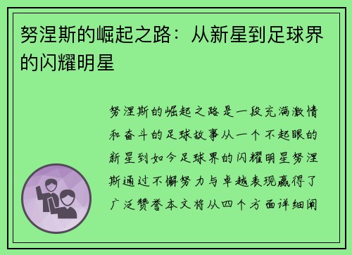 努涅斯的崛起之路：从新星到足球界的闪耀明星